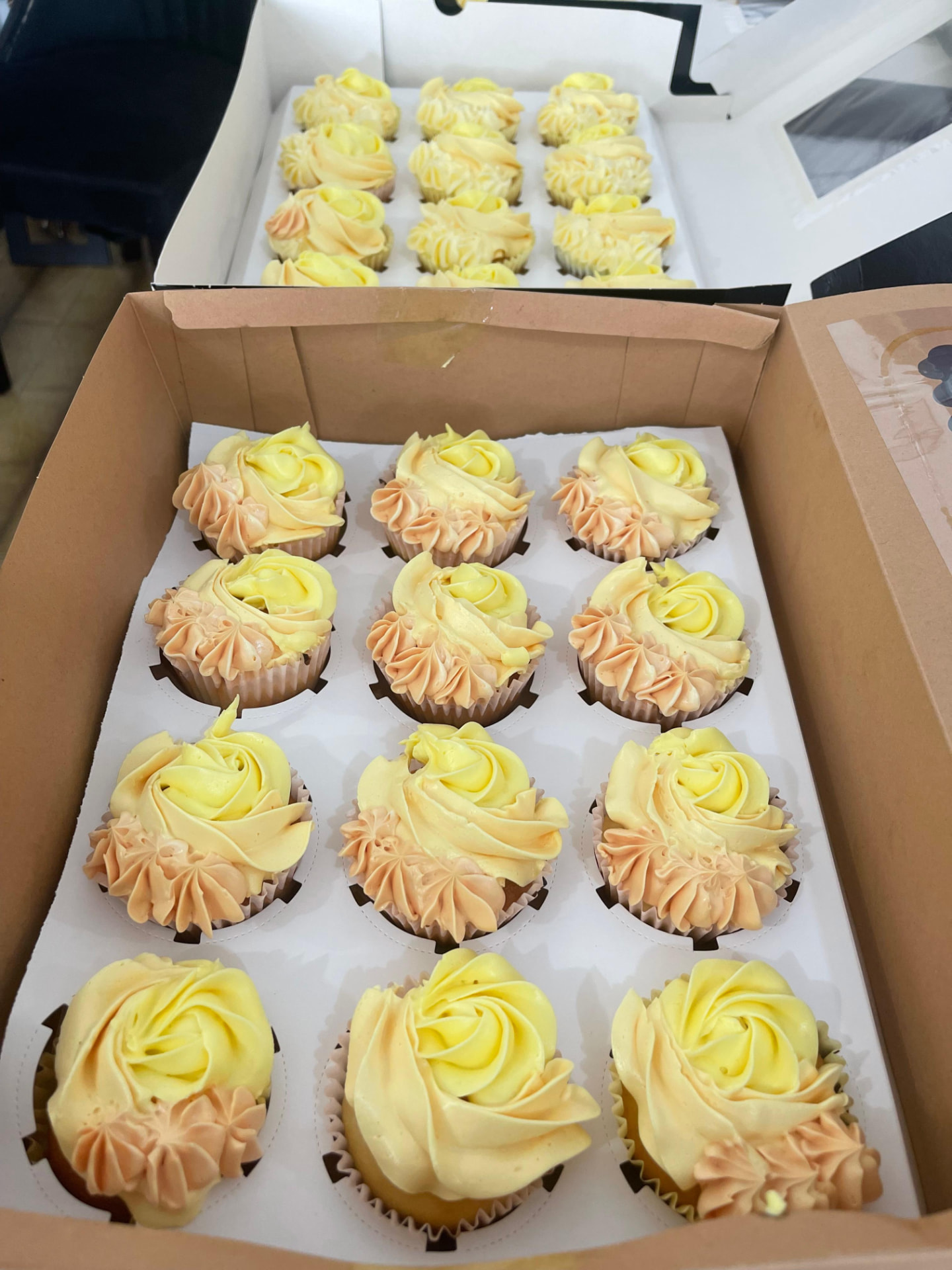 Cupcakes citron et abricot en boîte